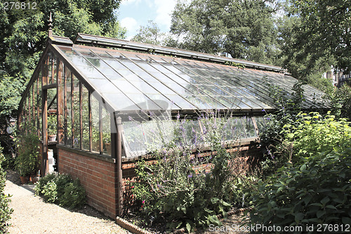 Image of view outside a glasshouse