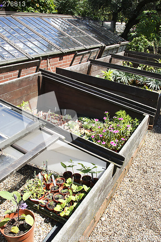 Image of coldframes outside a glasshouse