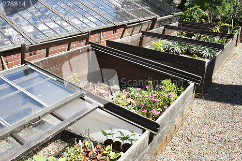 Image of coldframes outside a glasshouse