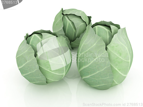 Image of Green cabbage