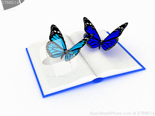 Image of butterfly on a book