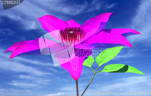 Image of Beautiful Cosmos Flower