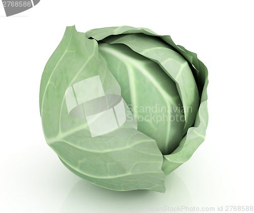 Image of Green cabbage