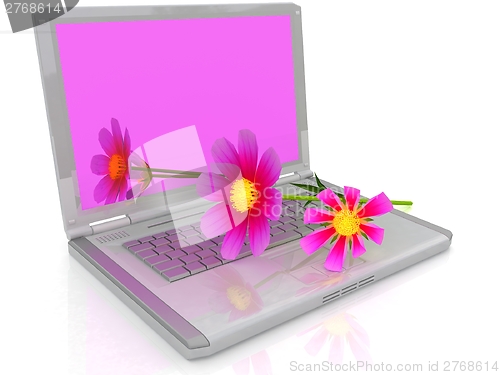 Image of cosmos flower on laptop