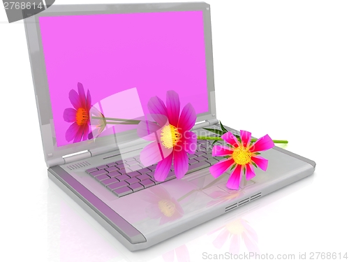 Image of cosmos flower on laptop