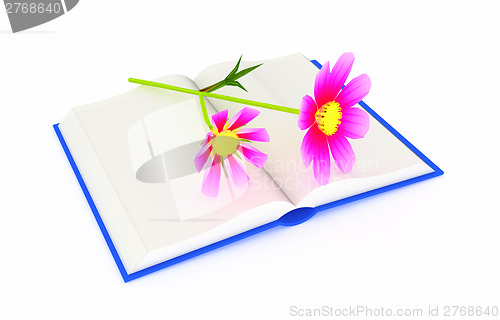 Image of Wonderful flower cosmos and book
