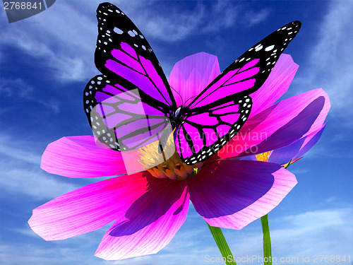 Image of Beautiful Cosmos Flower and butterfly