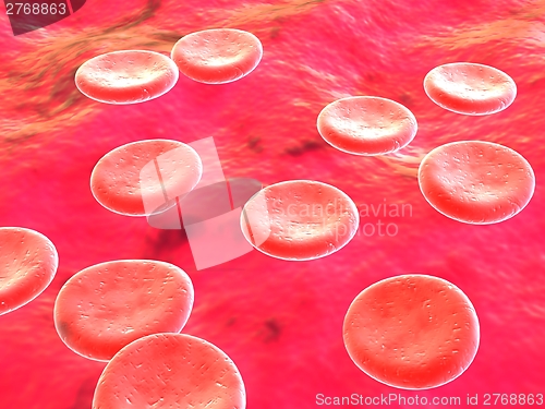 Image of Blood cells