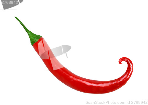 Image of Single red fresh chilli-pepper