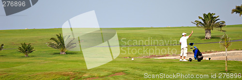 Image of Golfer and palms