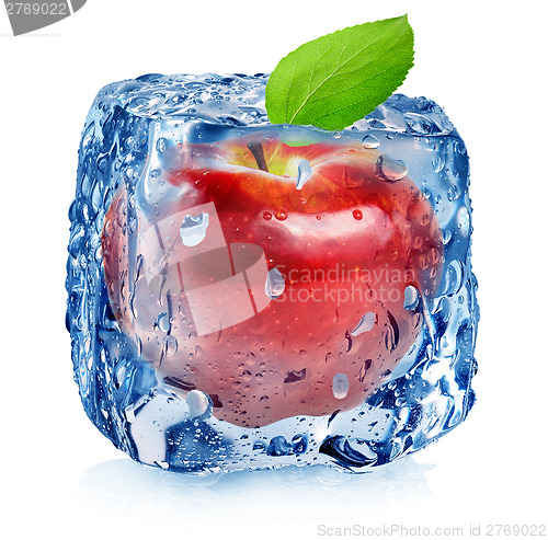 Image of Red apple in ice