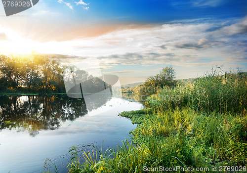 Image of Reeds on the river