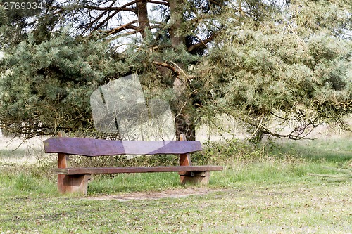 Image of outdoor bench with tree in background