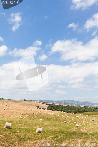 Image of Tuscany country