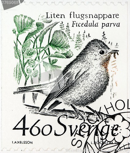 Image of Flycatcher Stamp