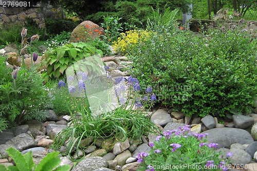 Image of early spring flowers