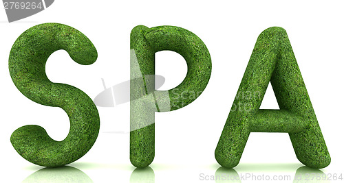 Image of "Spa" 3D text from a green grass