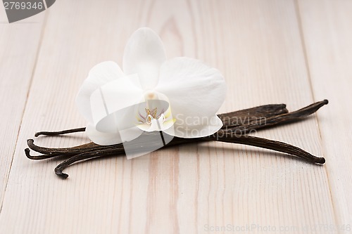 Image of Vanilla pods and flower