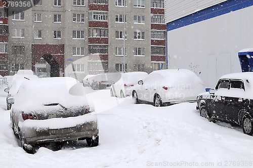 Image of The cars brought by snow, stand on a road roadside.