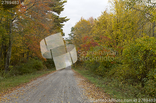 Image of  Autumn, New England