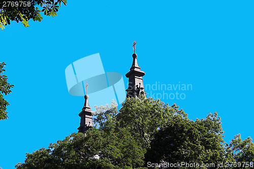 Image of church's domes above the tree's crowns