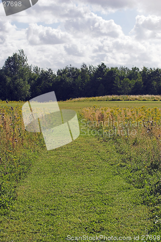 Image of meadow path