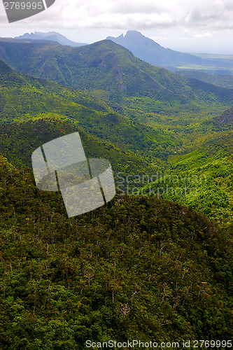 Image of black river   mauritius africa  