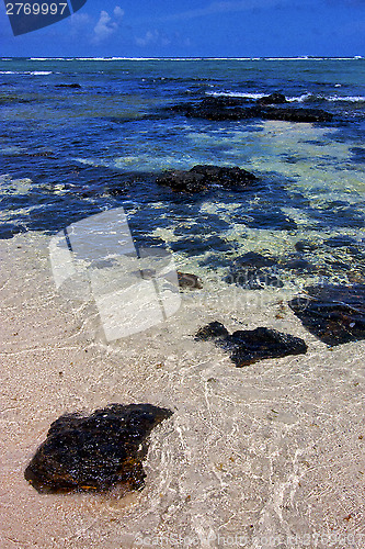 Image of blue bay foam footstep indian ocean some   deus cocos in mauriti