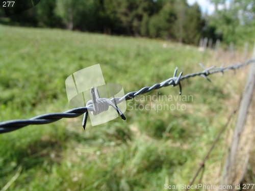 Image of Barb Wire