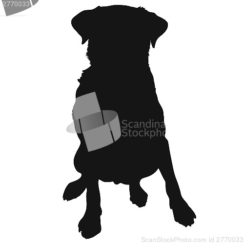 Image of Labrador Retriever Silhouette