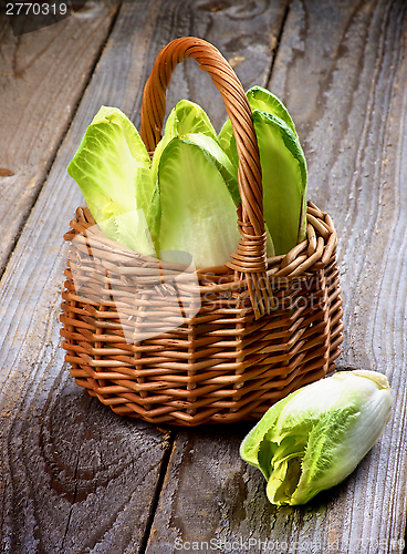 Image of Endive Leaves