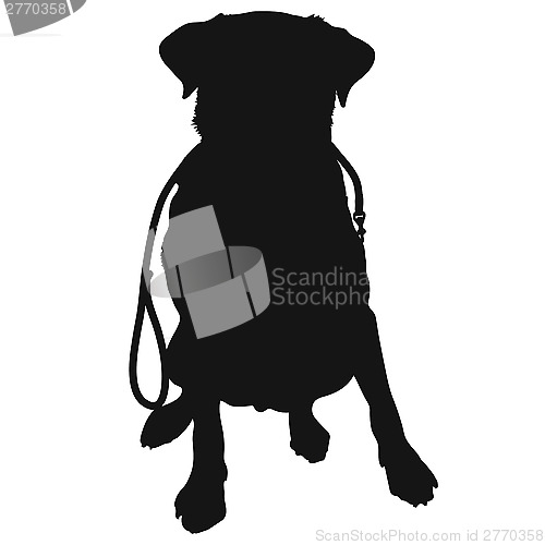 Image of Labrador Retriever Leash Silhouette