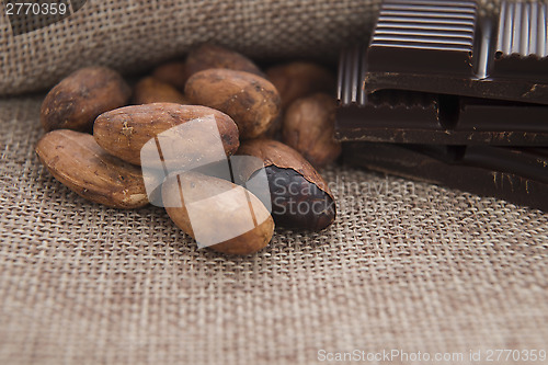 Image of Cocoa (cacao) beans with chocolate