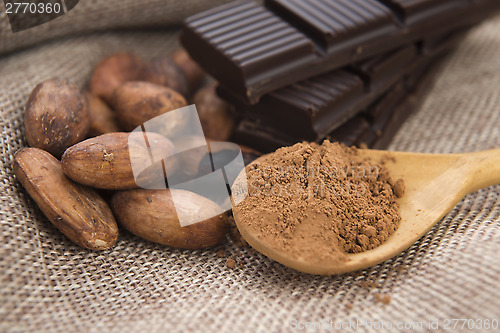 Image of Cocoa (cacao) beans with chocolate