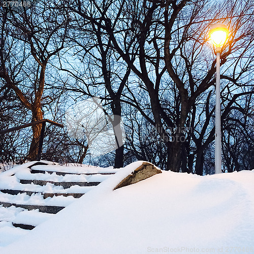 Image of Streetlight and trees in the snowy park