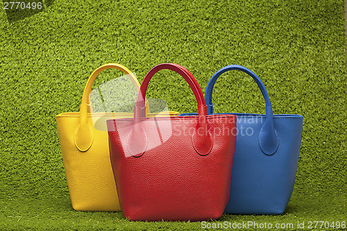 Image of purses on green grass