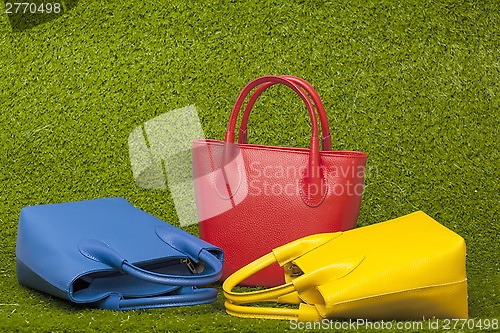 Image of purses on green grass