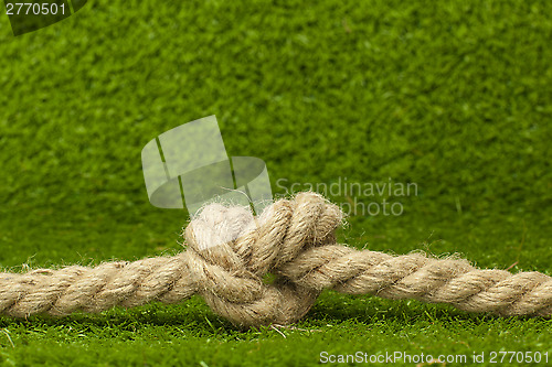 Image of knot on rope over green grass