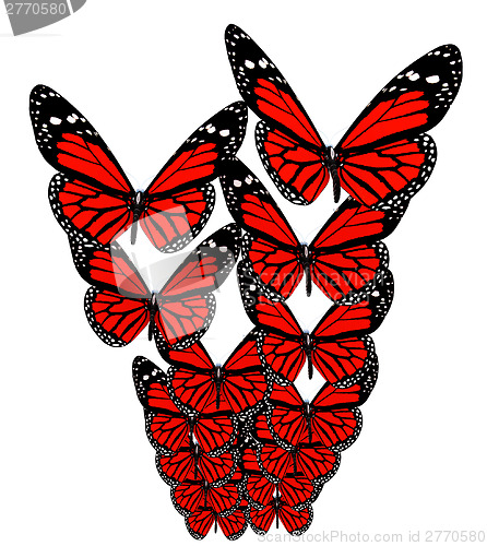 Image of Butterflies