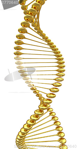 Image of DNA structure model 