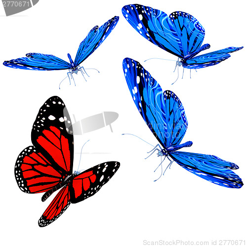 Image of Butterflies