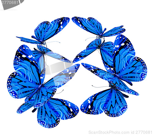 Image of Butterflies