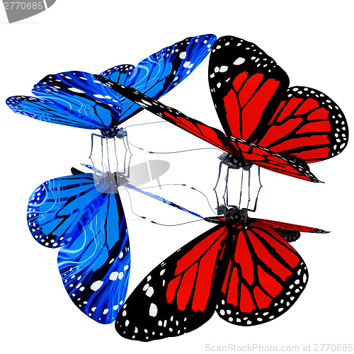 Image of Butterflies