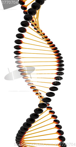 Image of DNA structure model 