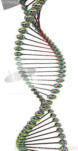 Image of DNA structure model 