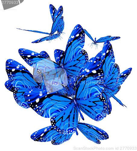 Image of Butterflies