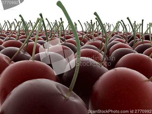 Image of sweet cherries 