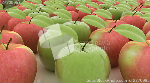 Image of apples 