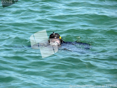 Image of Military Diver On Mission