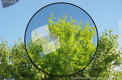 Image of Polarising filter